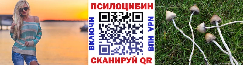Галлюциногенные грибы MAGIC MUSHROOMS Тетюши
